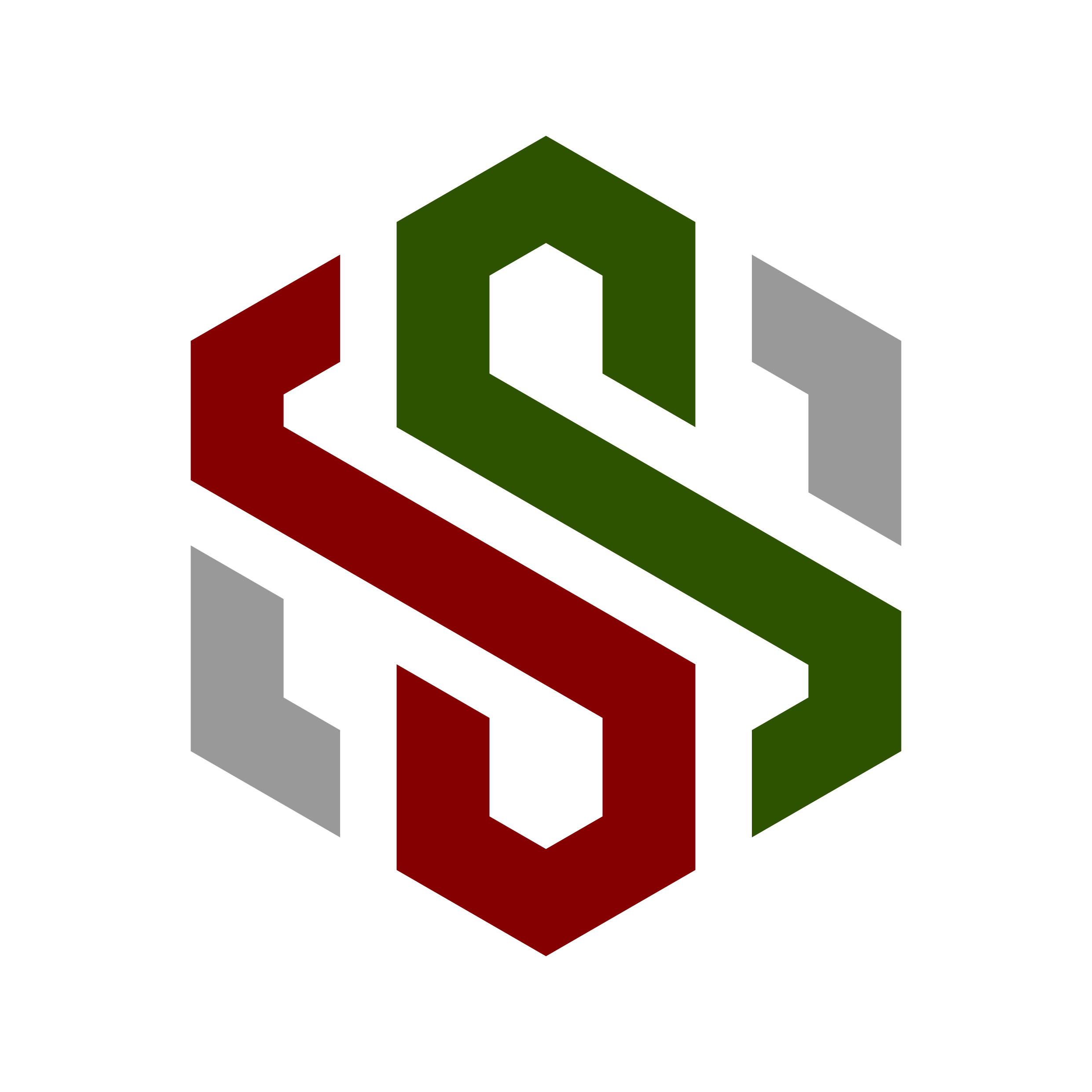 File PNG Icon SSS Warna